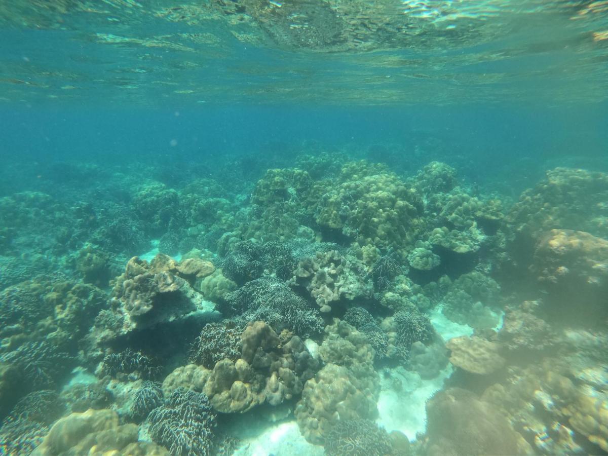Island Cafe&Hostel Koh Lipe Ngoại thất bức ảnh